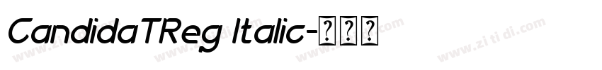 CandidaTReg Italic字体转换